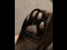 https://image.noelshack.com/minis/2024/43/3/1729708615-img-20241023-203623.png