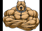 https://www.noelshack.com/2024-43-4-1729722141-angry-dog-bodybuilder.png