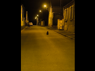 https://image.noelshack.com/minis/2024/43/4/1729731796-img-20241024-030249.png