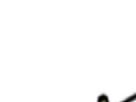 https://image.noelshack.com/minis/2024/43/6/1729965617-17-oyeup6w3.png