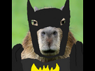https://www.noelshack.com/2024-44-1-1730144554-capybara-square-1-jpg-optimal-1.jpg
