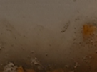 https://image.noelshack.com/fichiers/2024/44/3/1730245065-12-oeiz5ege.png
