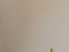 https://image.noelshack.com/fichiers/2024/44/3/1730245081-8-oeiz5ege.png