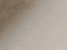 https://image.noelshack.com/fichiers/2024/44/3/1730245112-63-oeiz5ege.png