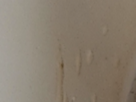 https://image.noelshack.com/fichiers/2024/44/3/1730245128-10-oeiz5ege.png