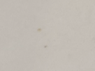 https://image.noelshack.com/fichiers/2024/44/3/1730245128-79-oeiz5ege.png