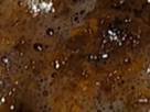 https://image.noelshack.com/fichiers/2024/44/3/1730245193-53-oeiz5ege.png