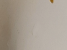 https://image.noelshack.com/fichiers/2024/44/3/1730245208-16-oeiz5ege.png