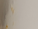 https://image.noelshack.com/fichiers/2024/44/3/1730245209-24-oeiz5ege.png