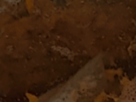 https://image.noelshack.com/fichiers/2024/44/3/1730245337-20-oeiz5ege.png