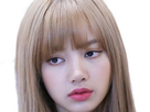 https://image.noelshack.com/fichiers/2024/44/3/1730246498-lisa-blackpink-blond-41.png