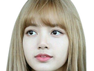 https://image.noelshack.com/fichiers/2024/44/3/1730246498-lisa-blackpink-blond-42.png