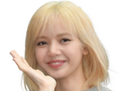 https://image.noelshack.com/fichiers/2024/44/3/1730246498-lisa-blackpink-blond-43.png