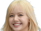 https://image.noelshack.com/fichiers/2024/44/3/1730246498-lisa-blackpink-blond-44.png