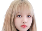 https://image.noelshack.com/fichiers/2024/44/3/1730249556-lisa-blackpink-blond-52.png