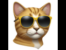 https://www.noelshack.com/2024-44-3-1730289929-cat-with-sunglasses.png