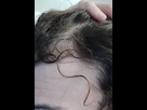 https://image.noelshack.com/minis/2024/44/3/1730312111-1730312066185.png