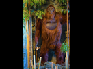 https://image.noelshack.com/fichiers/2024/44/5/1730444681-gigantopithecus-richard-jenkins.jpg