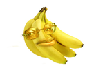 https://image.noelshack.com/fichiers/2024/44/5/1730456907-chance.png