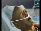 https://image.noelshack.com/fichiers/2024/44/6/1730551408-chrome-0gdhtanmoa.png