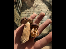 https://image.noelshack.com/minis/2024/44/6/1730555579-screenshot-20241102-145206-2.png