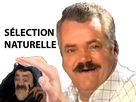https://image.noelshack.com/fichiers/2024/44/6/1730575389-1613947141-216901-fu66ll.png