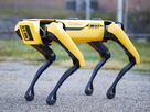 https://image.noelshack.com/fichiers/2024/44/7/1730668287-boston-dynamics-spot-2.jpg