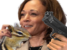 https://image.noelshack.com/fichiers/2024/45/1/1730728222-kamala2.png