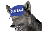 https://image.noelshack.com/fichiers/2024/45/1/1730759752-loup-ahi-casquette-puceau-bleue.png