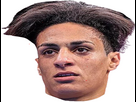 https://image.noelshack.com/fichiers/2024/45/2/1730803208-full-1.png
