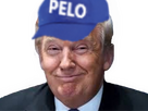 https://image.noelshack.com/fichiers/2024/45/2/1730836975-trumpelo.png
