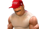 https://www.noelshack.com/2024-45-3-1730865089-eggish-maga.png