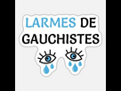 https://image.noelshack.com/fichiers/2024/45/3/1730865606-larmes-de-gauchistes.jpg