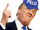 https://www.noelshack.com/2024-45-3-1730912085-trumpputain1.png