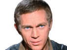https://image.noelshack.com/fichiers/2024/45/4/1731016248-stevemcq-2.png