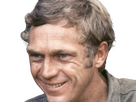 https://image.noelshack.com/fichiers/2024/45/4/1731017444-stevemcq-13.png