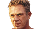 https://image.noelshack.com/fichiers/2024/45/4/1731018203-stevemcq-22.png