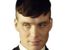 https://image.noelshack.com/fichiers/2024/45/5/1731032398-tomshel-19.png