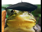 https://www.noelshack.com/2024-45-5-1731044827-frog.jpg