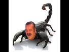 https://www.noelshack.com/2024-45-6-1731163998-1481315202-scorpion-risitas.jpg