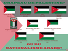 https://www.noelshack.com/2024-45-7-1731246993-drapeaux-panarabe.jpg