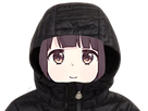 https://www.noelshack.com/2024-46-3-1731510929-full-21.png