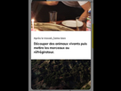 https://www.noelshack.com/2024-46-3-1731511578-screenshot-2024-11-13-16-23-29-416-edit-com-bumble-app.jpg