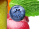 https://image.noelshack.com/fichiers/2024/46/6/1731724594-14-kuix7zqg.png