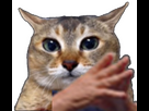 https://image.noelshack.com/minis/2024/47/2/1731975359-chathm.png