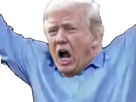 https://www.noelshack.com/2024-47-4-1732155351-1604608068-dff57609-86c8-495f-8b14-5ff2dd9e7274.png