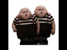 https://image.noelshack.com/fichiers/2024/47/6/1732327382-tweedle-dee-tweedle-dum-cardboard-cutout.jpg