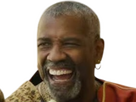 https://image.noelshack.com/fichiers/2024/47/6/1732401833-denzel-gladiator-3.png