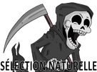 https://image.noelshack.com/fichiers/2024/47/7/1732474078-grande-faucheuse-rigole-selection-naturelle.png