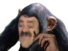 https://www.noelshack.com/2024-48-1-1732545824-img-8674.jpeg